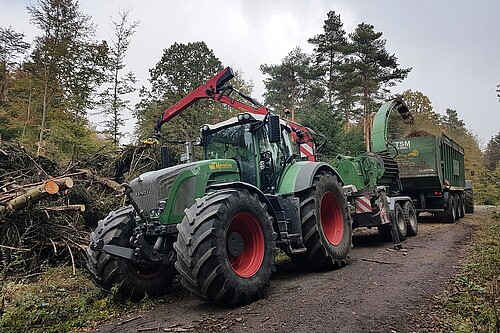 Eine große Forstmaschine steht am Waldrand und zerhackt Kronenholz, in dem sich Borkenkäfer befinden.
