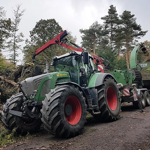 Eine große Forstmaschine steht am Waldrand und zerhackt Kronenholz, in dem sich Borkenkäfer befinden.