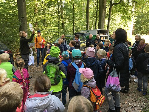 Eine Gruppe von Schulkindern steht im Wald und hört einer Mitarbeiterin der Klosterforsten, Stefanie Gerevelhörster, zu.