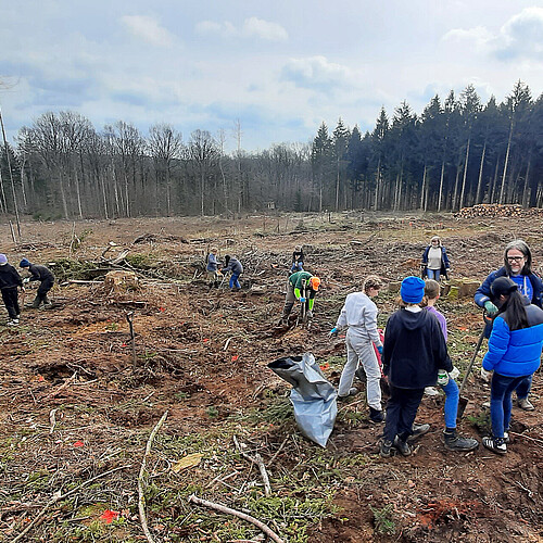 Auf einer freien Fläche im Wald stehen Gruppen von Schülerinnen und Schülern, die Bäume pflanzen und sich unterhalten.