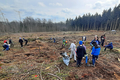 Auf einer freien Fläche im Wald stehen Gruppen von Schülerinnen und Schülern, die Bäume pflanzen und sich unterhalten.
