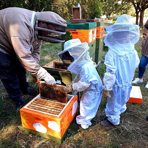 Daniel Dietrich, Bienenstock, Kinder, Imkeranzug