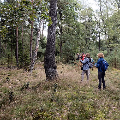Teilnehmer eines Foto-Workshops fotografieren im Wald.