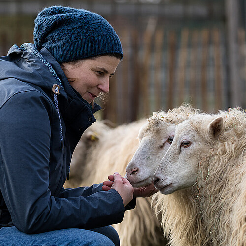 Lächelnde Frau mit Mütze und Jacke hockt vor drei Schafen