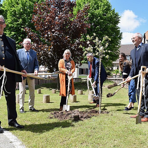 Sechs Personen mit Spaten stehen um einen frisch gepflanzten Apfelbaum herum. Einer von ihnen ist Klosterkammer-Präsident Hans-Christian Biallas.