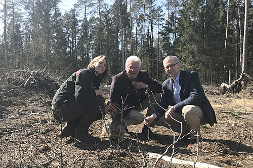 Drei Personen sind in einem Waldstück der Klosterforsten mit jungen Eichen im Vordergrund zu sehen.