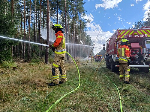 Feuerwehrleute und Einsatzwagen am Rand eines Waldes üben das Löschen eines Brandes.
