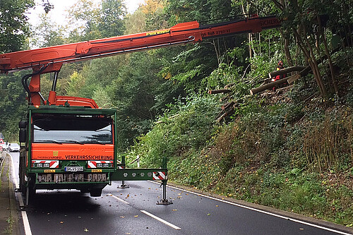 Eine große Maschine mit der Bäume gefällt werden steht auf einer Straße.