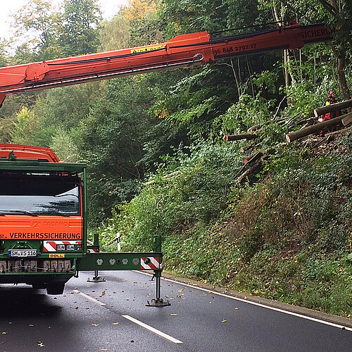 Eine große Maschine mit der Bäume gefällt werden steht auf einer Straße.