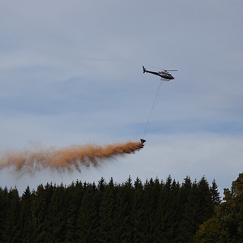 Hubschrauber wirft über einem Waldstück Kalk ab.