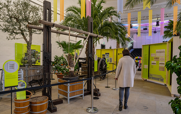 Person geht durch einen Ausstellungsraum mit Kübelpflanzen.