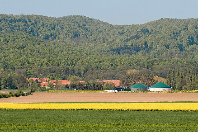 Im Vordergrund sind gelbe Rapsfelder und im Hintergrund ein Wald zu sehen - dazwischen liegt die Biogasanlage der Bioenergie Kleiner Deister GmbH.