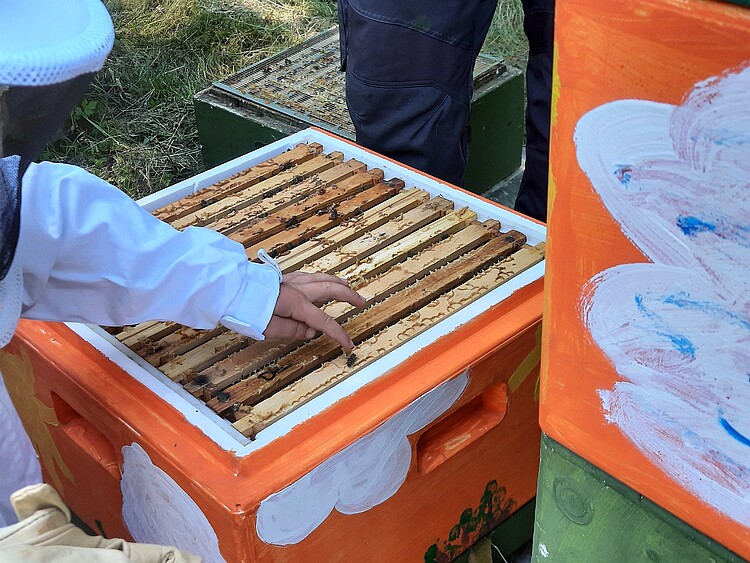 Kind, Biene, Bienenstock, Imkeranzug