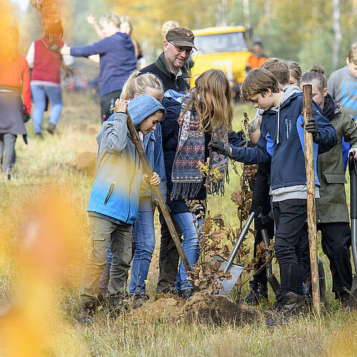 Schülerinnen und Schüler pflanzen gemeinsam einen jungen Eichenbaum.