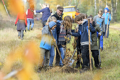 Schülerinnen und Schüler pflanzen gemeinsam einen jungen Eichenbaum.