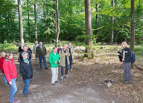 Eine Gruppe von Besucherinnen und Besuchern hören Klosterforsten-Försterin Stefanie Grevelhörster bei Ihren Erklärungen im Wennigser Forst zu.