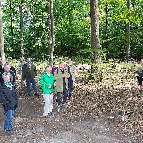 Eine Gruppe von Besucherinnen und Besuchern hören Klosterforsten-Försterin Stefanie Grevelhörster bei Ihren Erklärungen im Wennigser Forst zu.