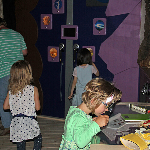 Drei Mädchen schauen sich eine Ausstellung über Fledermäuse an, der Raum ist leicht abgedunkelt.