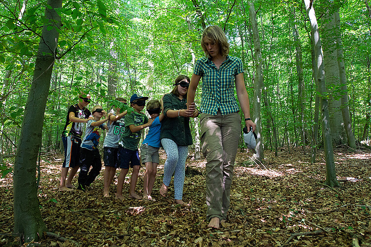 Eine Reihe von Kindern mit zugebundenen Augen, die sich jeweils an den Schultern fassen, läuft unter der Leitung von Försterin Stefanie Grevelhörster durch den Wald.