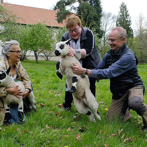 Bild von Schafen im Kloster Marienwerder, Inger Johannes, Ulrike Kempe und Hans-Jürgen Hoffmann (von links)