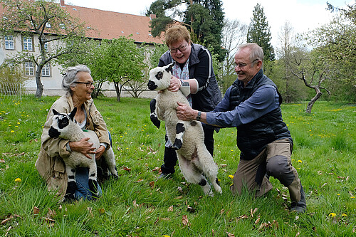 Bild von Schafen im Kloster Marienwerder, Inger Johannes, Ulrike Kempe und Hans-Jürgen Hoffmann (von links)