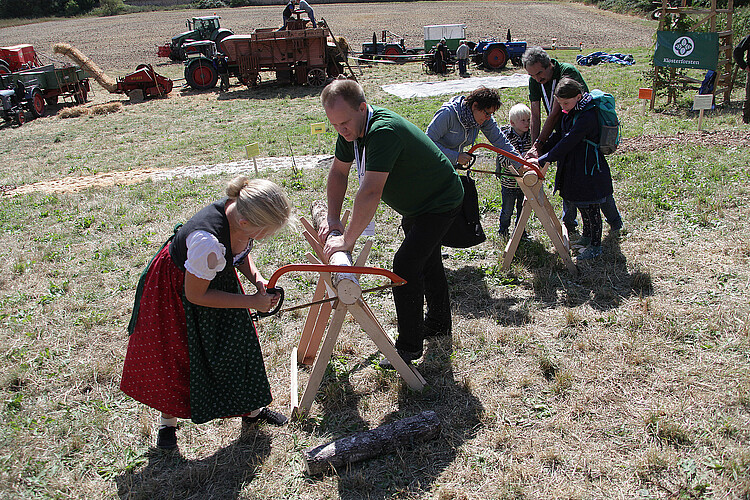 Klosterkammerfest 2018 Mehrer Personen sägen jeweils zu zweit Scheiben von Stämmen, weitere stehen daneben und schauen zu. Im Hintergrund sind Landmaschinen zu sehen.